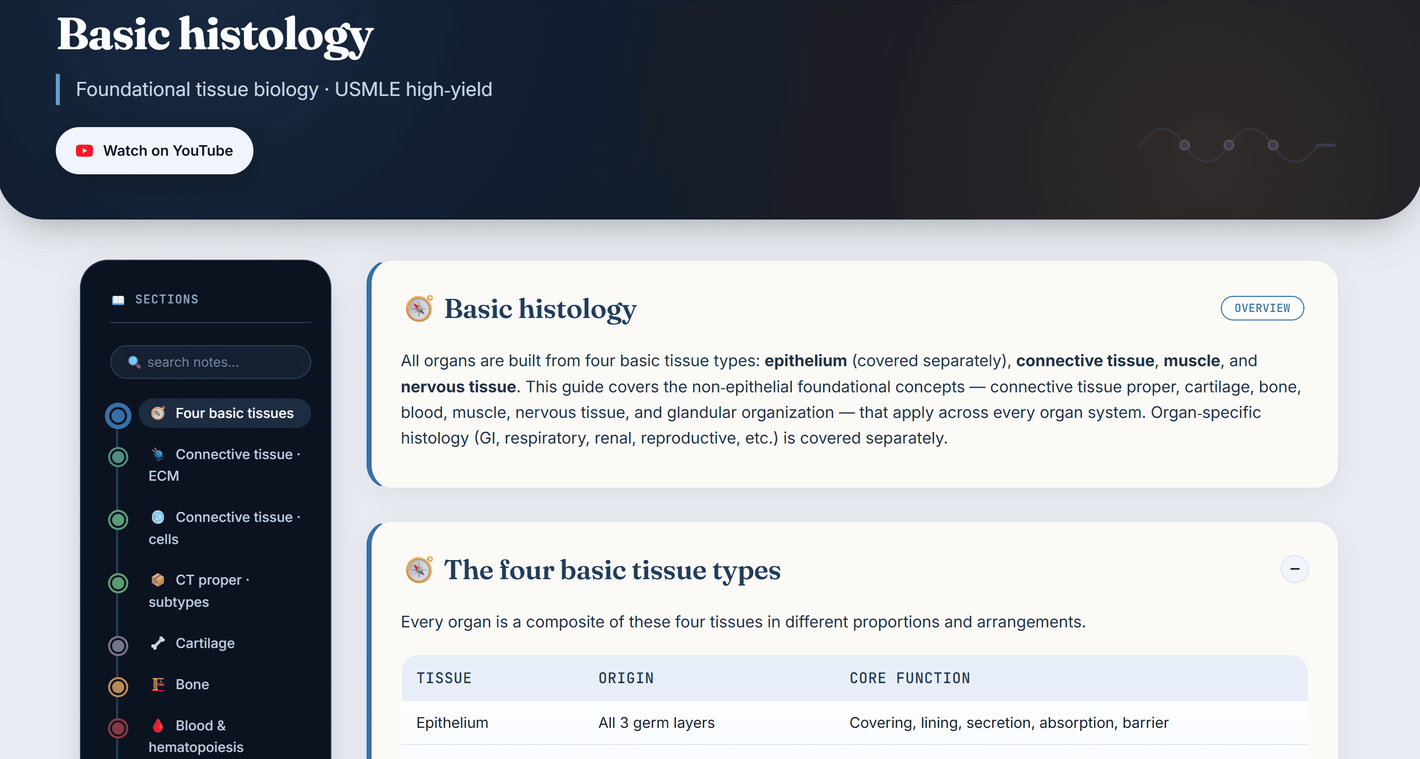 Humoral immunity and antibody isotypes notes